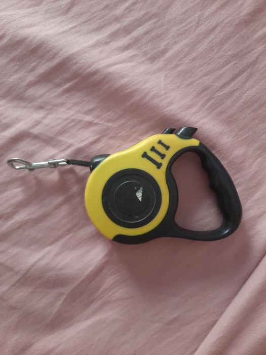 Cão acessórios 1 novo e outros usados