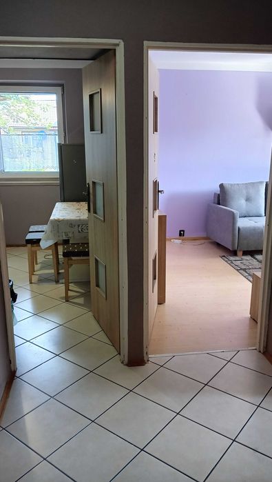 Mieszkanie do wynajęcia