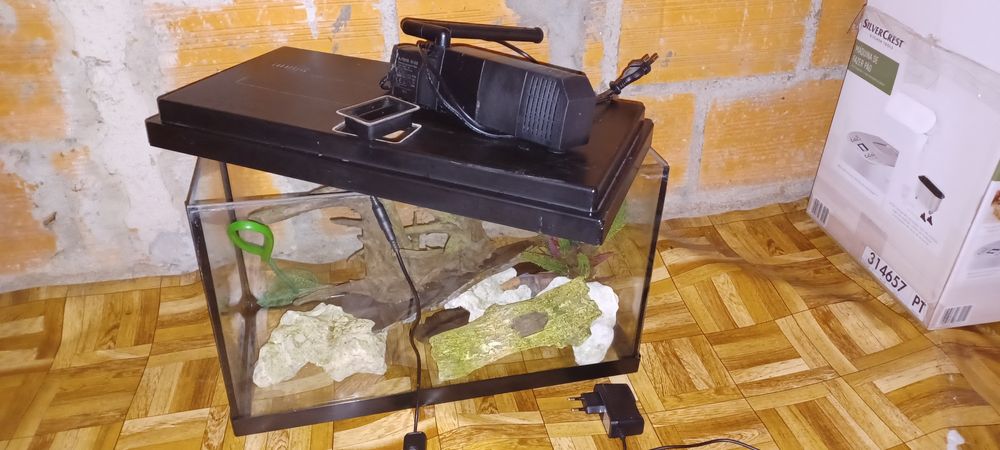 Aquário para peixes