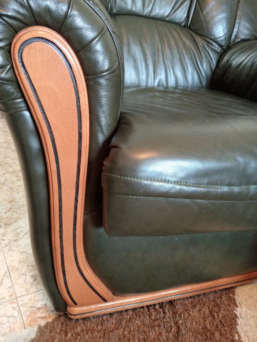 Sofás de pele verdes