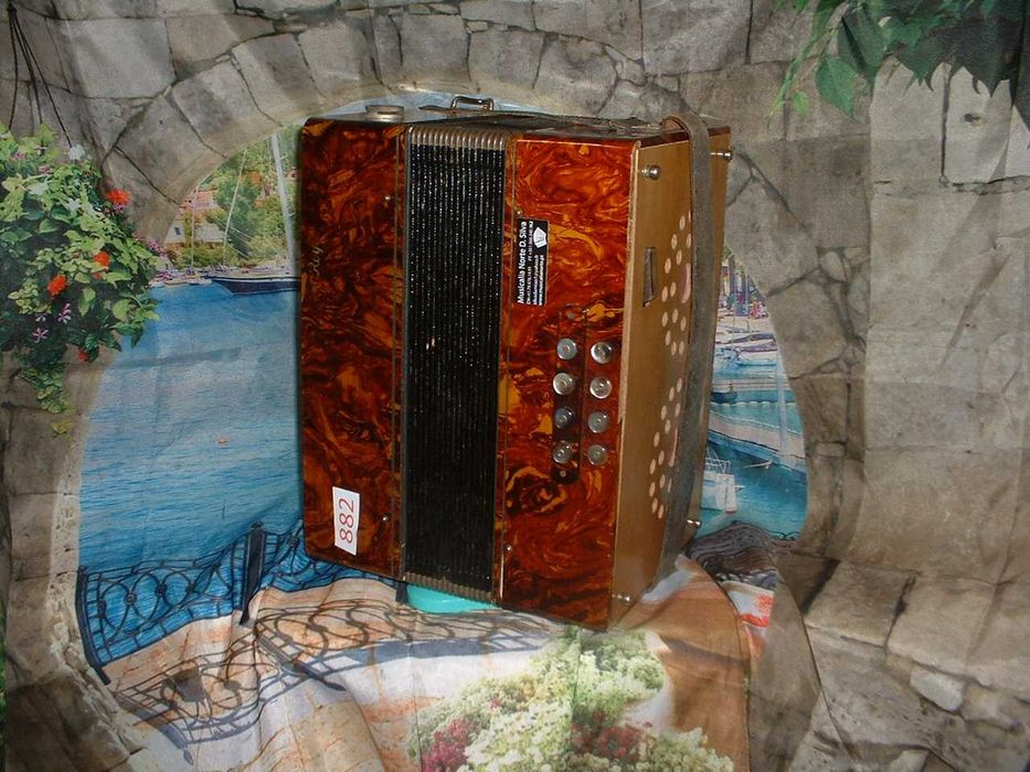 Concertina para venda N, 882