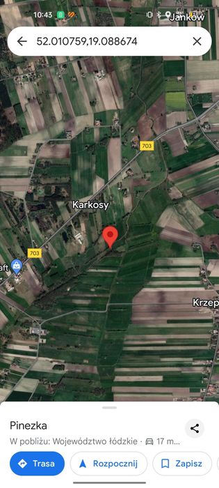 Działka leśna, las