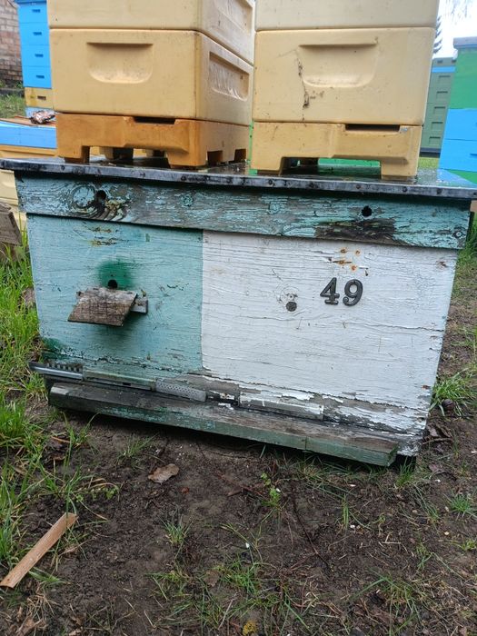 Продам 6 уликов лежака