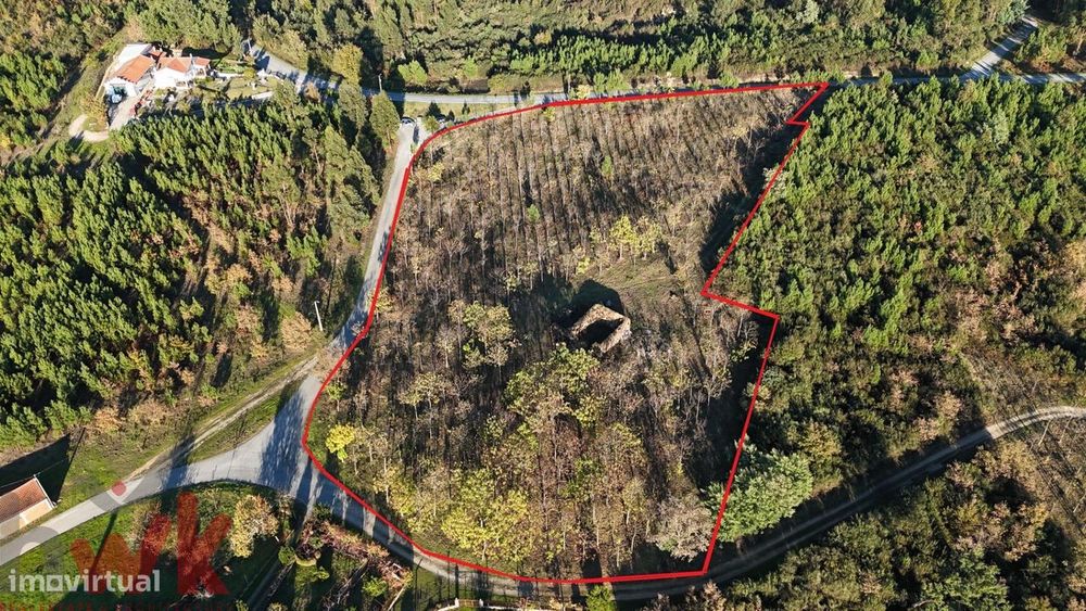 Terreno Rústico 10.800 m2 – Plano, Com Ruína e Excelentes Acessos