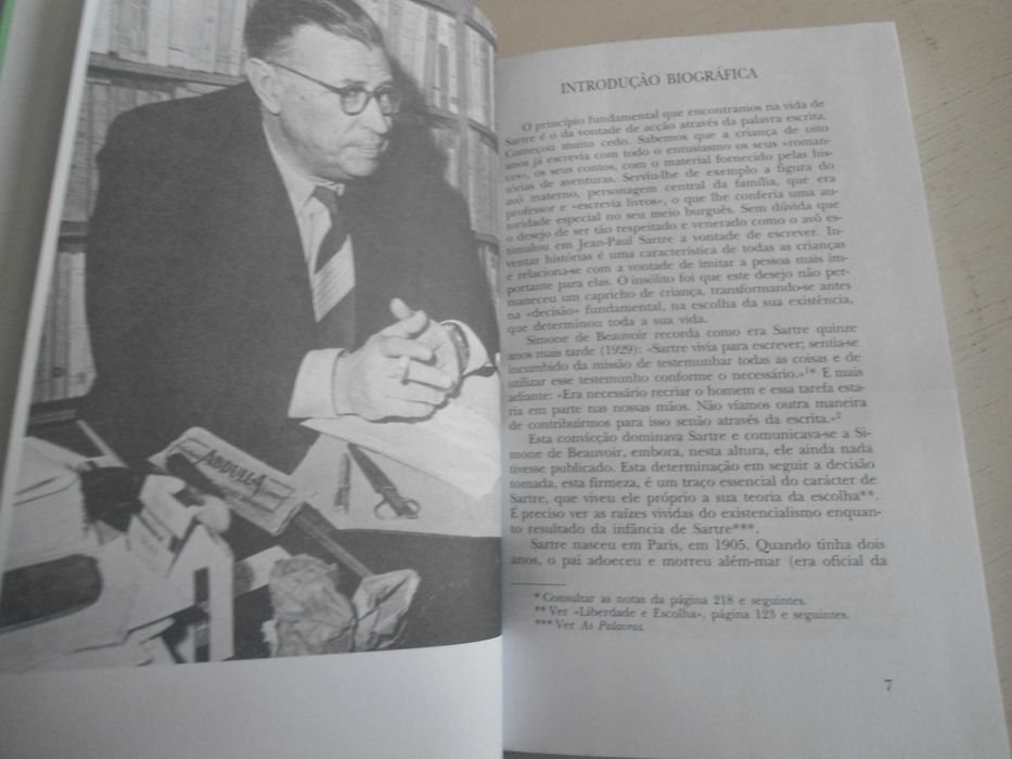 Sartre por Walter Biemel