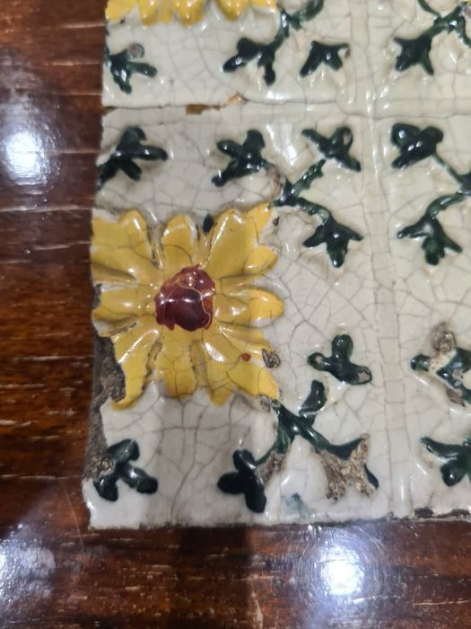 Azulejo( parte ) das devezas