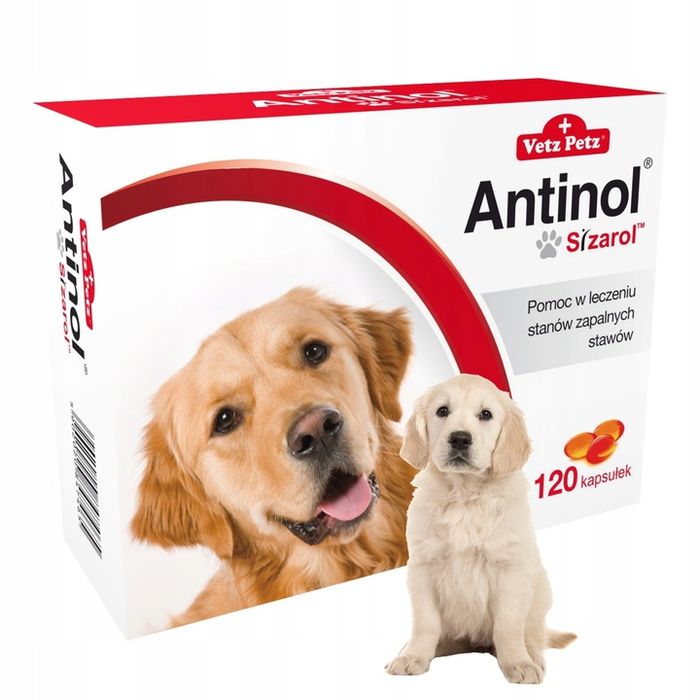 antinol sizarol suplement na zdrowe stawy dla psa opakowanie 120 tabletek