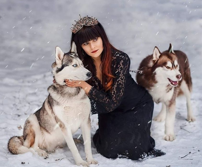 Хаскі для фотосесій