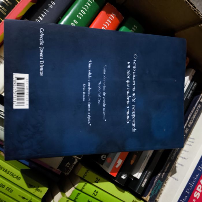 Livro Eragon - Christopher Paolini (Ed. Gailivro) - Fantasia