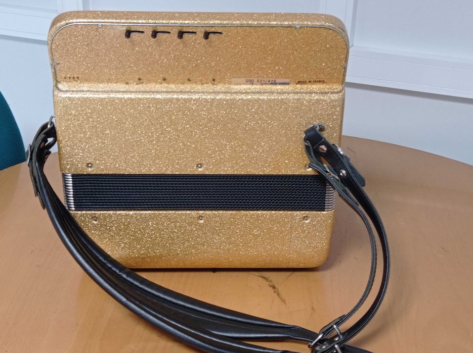 Maugein Accordion / Accordion with MIDI64585739525249124