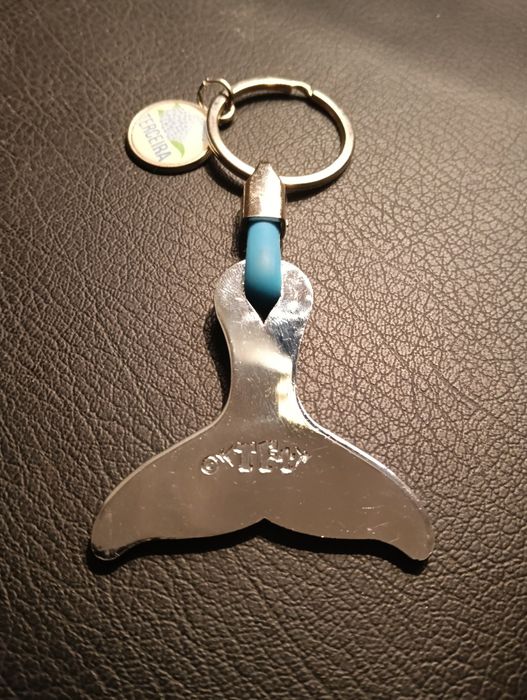 Porta chaves (ilha Terceira)