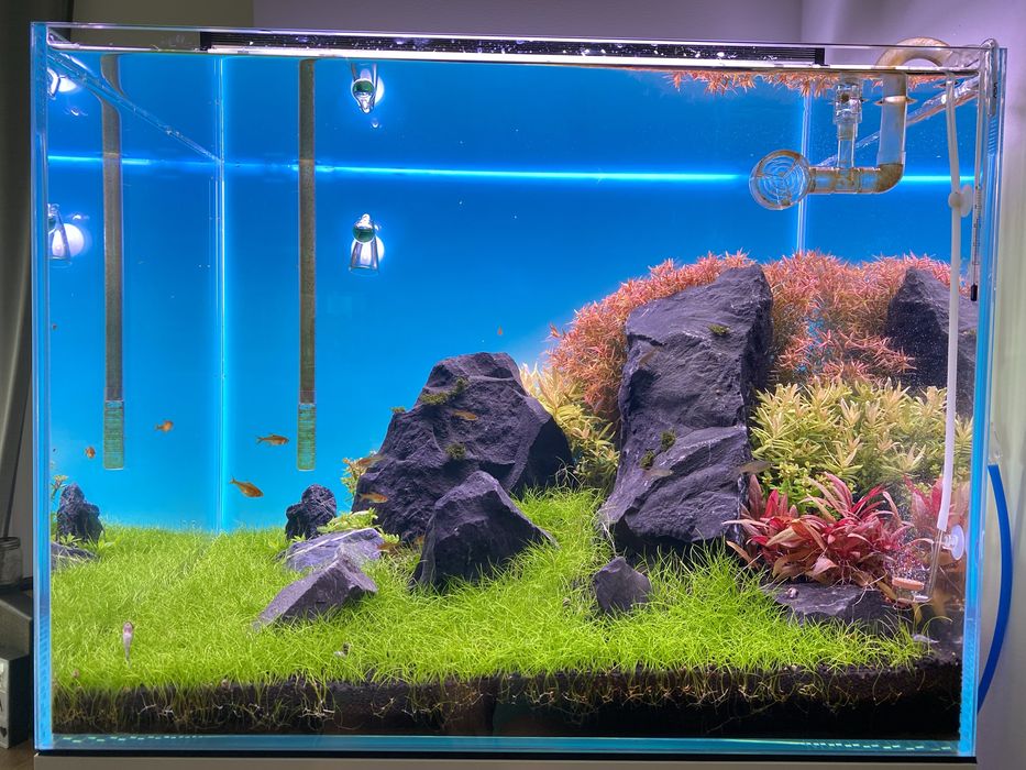 painel retroiluminado para aquario