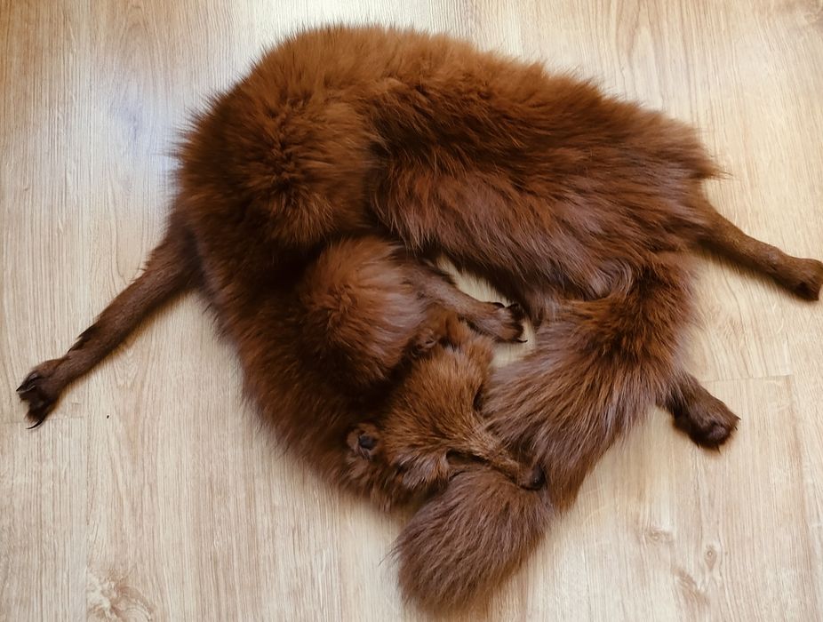 Kołnierz z prawdziwego lisa – elegancki dodatek vintage