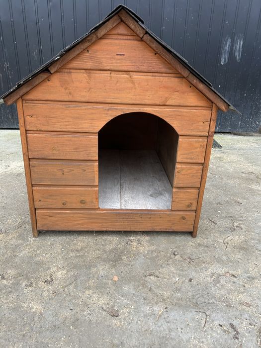 Buda     dla    psa.