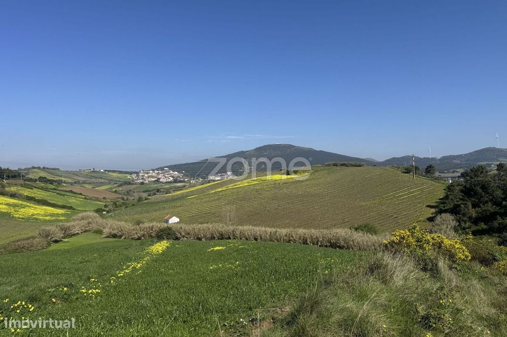 Terreno rústico com parcela urbana à beira da A8