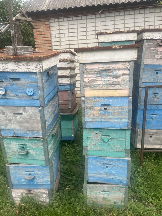 Продам корпусні вулики 10 рамочні