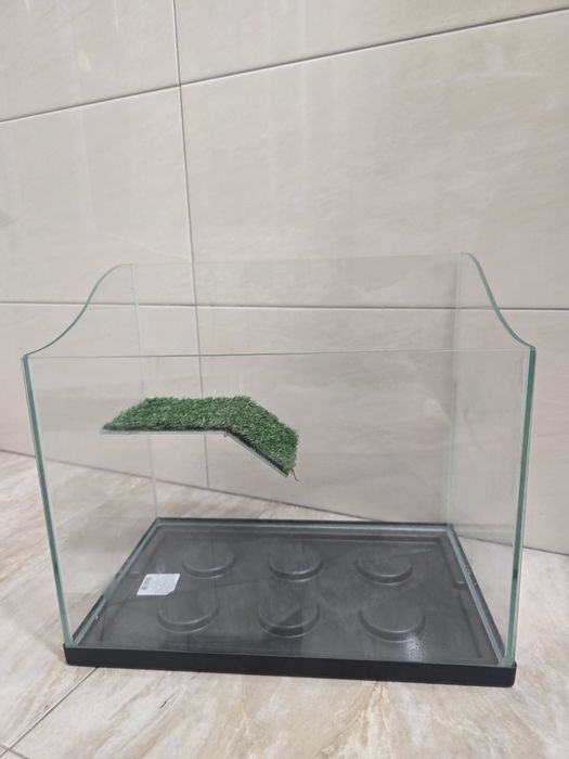 Червоновухі чепепахи