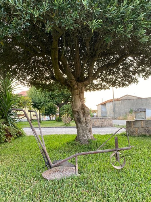 Arado antigo para decoração
