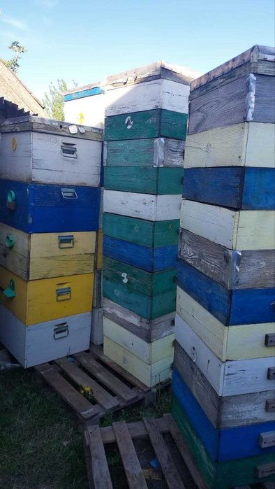 Продам вулики і все що треба для пасіки