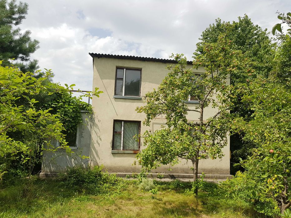 Дачна ділянка з дачним та господарським будиночками в селі Прошова