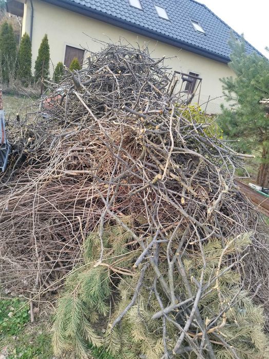 Gałęzie oddam za darmo