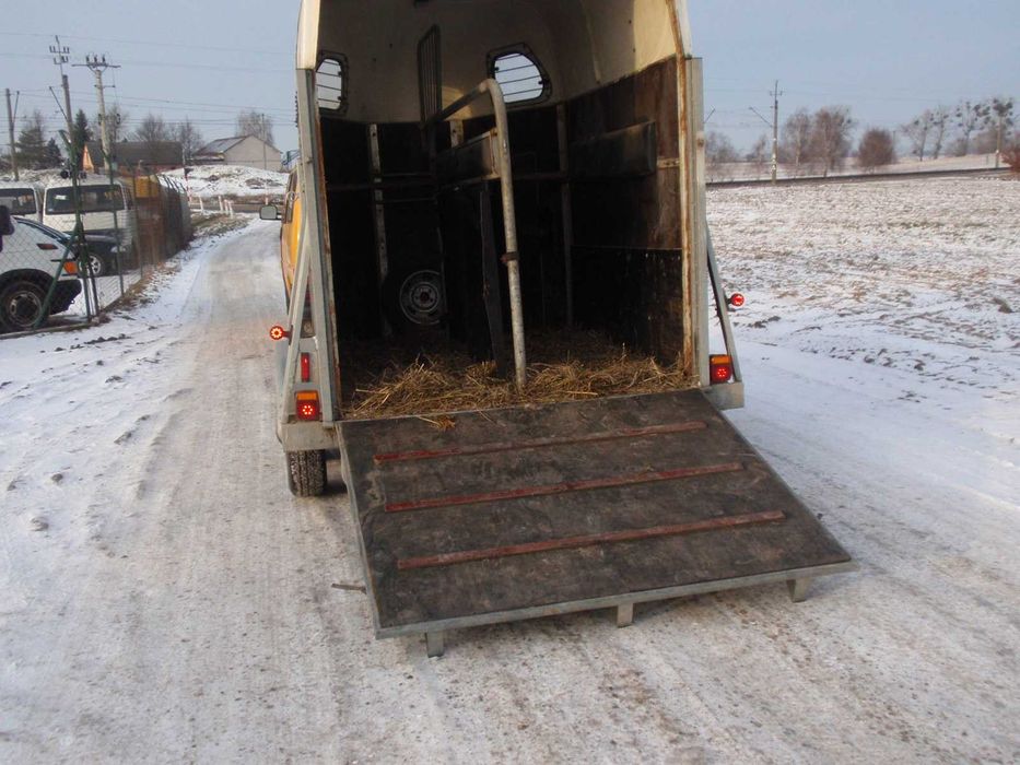 Wypożyczę wynajmę przyczepę przewóz zwierząt koni bydła trzody bryczka