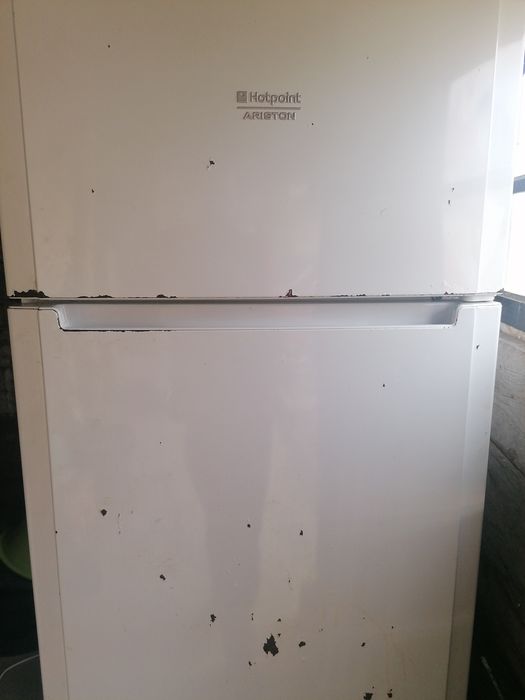 Peças frigorífico Hotpoint Ariston