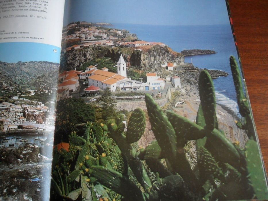 "Ilha da Madeira" Exaltação da Natureza de Guido de Monterey