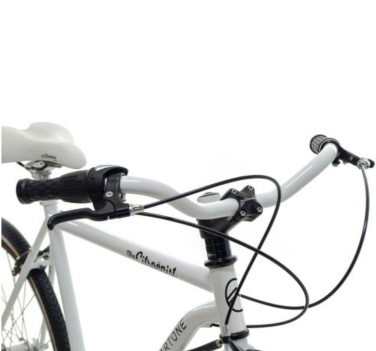 Vendo bicicleta "The Citroenist By Martone" NOVA