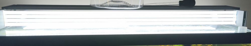 Calha Led  para aquário por encomenda 6500k