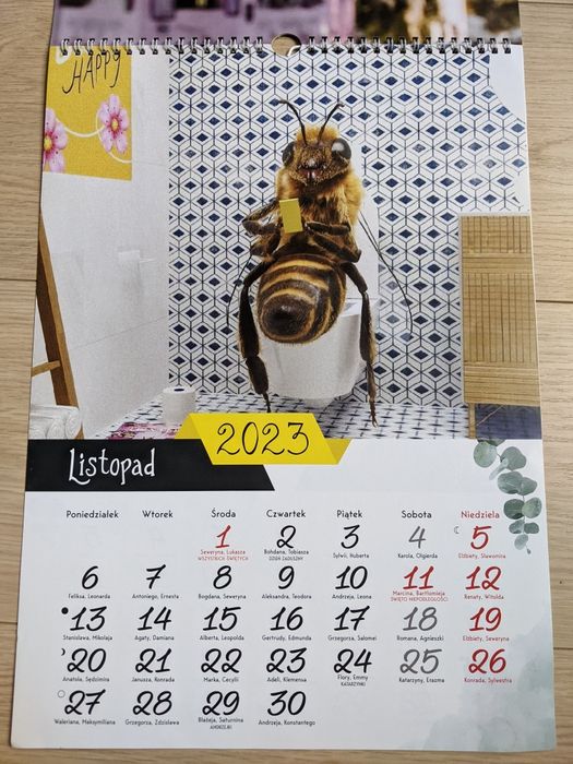Kalendarz pszczoły