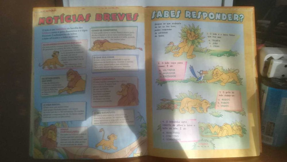 O mundo maravilhosos dos animais - Os Leões