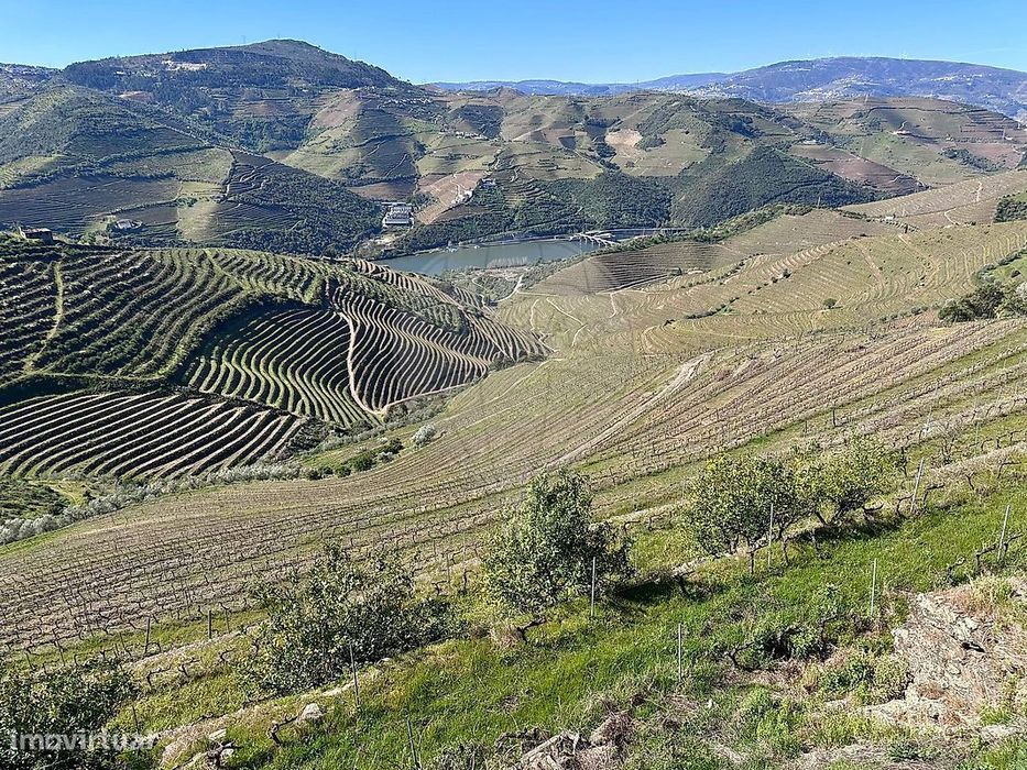 Quinta  para venda