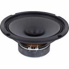 Visaton BG20 8Ω — Par Usado Excelente Estado — DIY / Fullrange