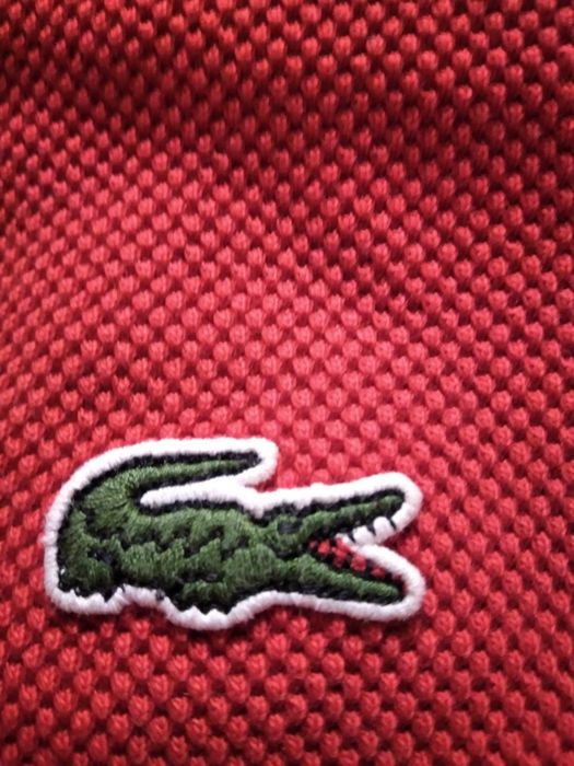 Bluza Lacoste czerwono biało granatowa.
