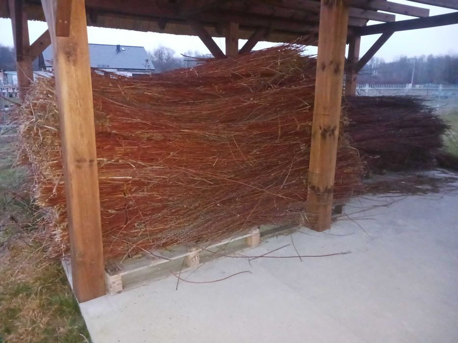 Wiklina sucha nie sortowana 2 tony