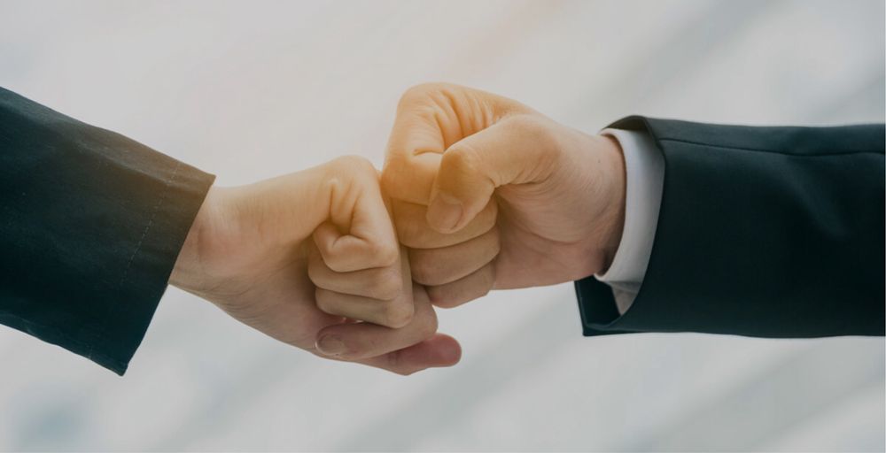 Шукаю партнера по бізнесу для вирощування полуниці і малини.