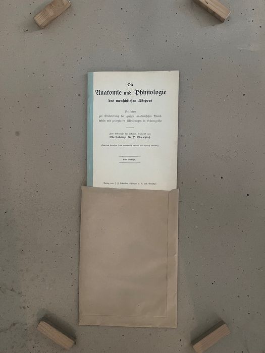 Tablice anatomiczne. Antyk. Schreibers Anatomische Wandtafel..