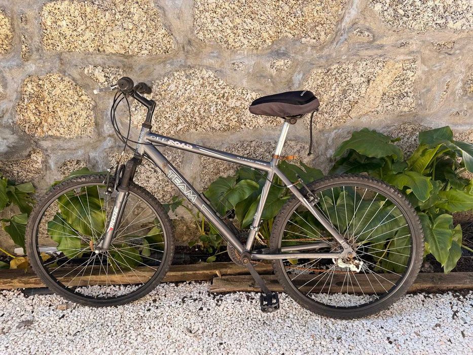 bicileta – Team Off Road (Cinza)