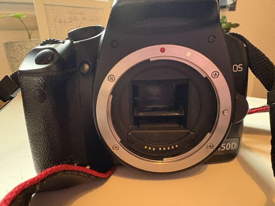 Canon 450D - objetiva 55-250mm