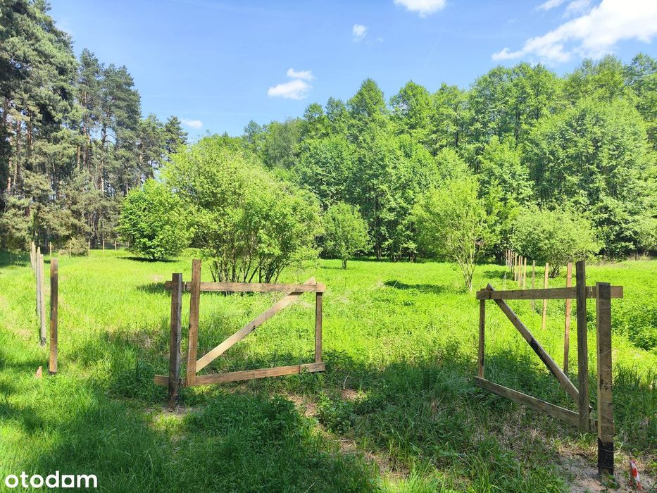 Słoneczna enklawa nad Jeziorem Lgińskim Małym – 1000m2, jezioro, las