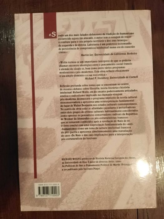 Richard Wolin - Labirintos
