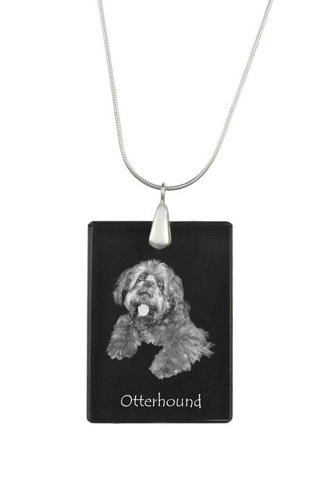 Otterhound naszyjnik kryształowy z psem Art-Dog