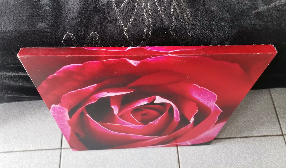 Obraz czerwona róża