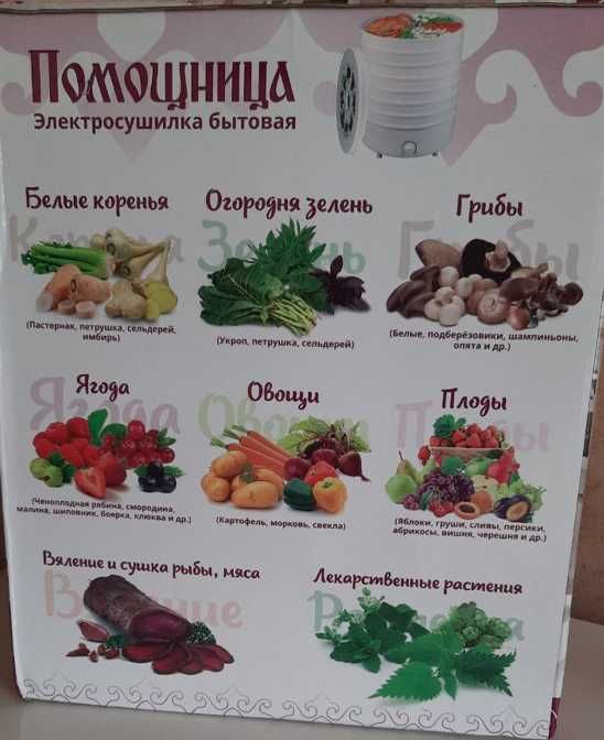 Дегідратор помощнеца сушилка объем 30л + поддон для пастелы