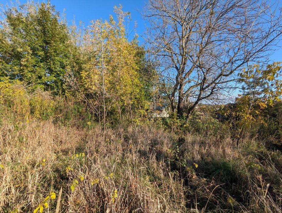 Продаж земельної ділянки