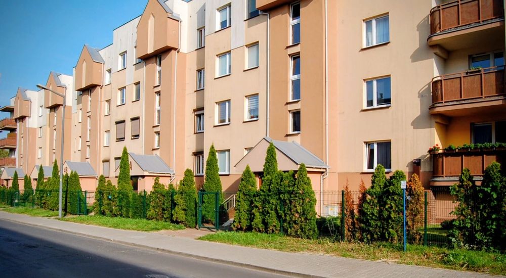 Wynajem 3 pokoje w cenie 2