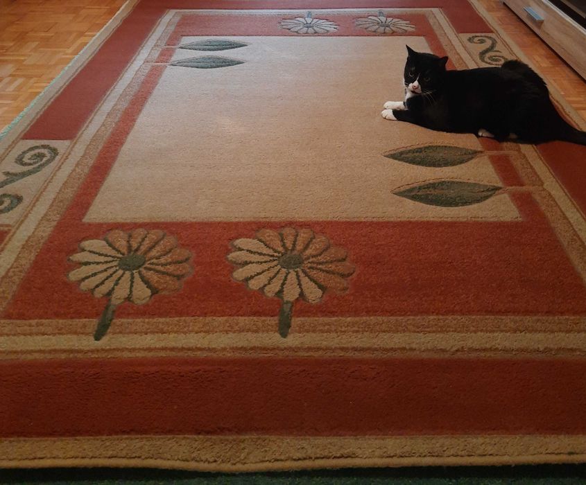 Dywan do salonu, jadaln