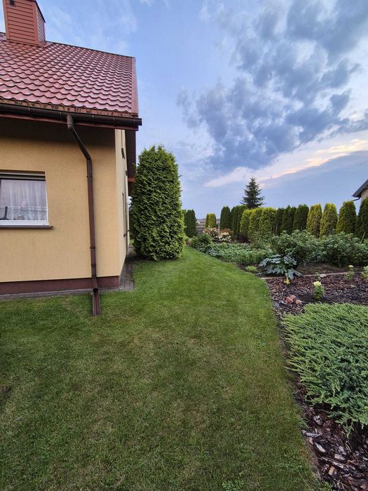 Dom – Borowa, powiat łódzki wschodni - Widok 3