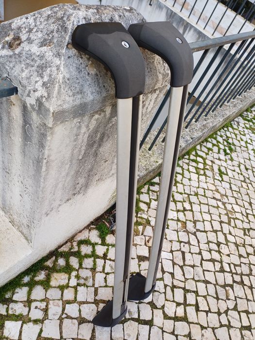 Barras de tejadilho Scenic